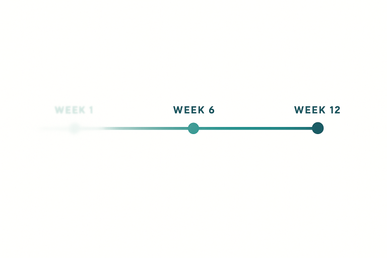 Minimalist vector illustration of a horizontal 12-week timeline. A teal line runs left to right, starting blurred on the left and becoming sharp on the right. Three circular markers highlight Week 1, Week 6, and Week 12, symbolizing progression and clarity over time