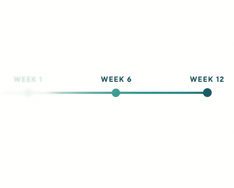 Minimalist vector illustration of a horizontal 12-week timeline. A teal line runs left to right, starting blurred on the left and becoming sharp on the right. Three circular markers highlight Week 1, Week 6, and Week 12, symbolizing progression and clarity over time